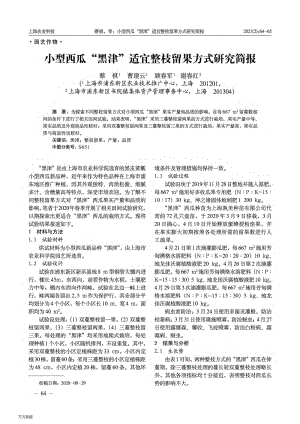 小型西瓜“黑津”適宜整枝留果方式研究簡報(bào).pdf