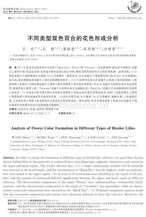 不同類型雙色百合的花色形成分析.pdf