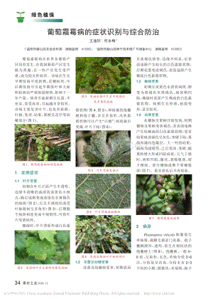 2020-葡萄霜霉病的癥狀識別與綜合防治_王迪軒.pdf
