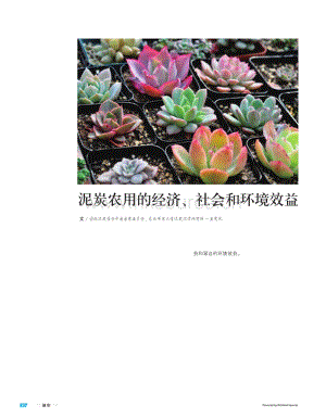 【泥炭技術(shù)】泥炭農(nóng)用的經(jīng)濟、社會和環(huán)境效益.pdf