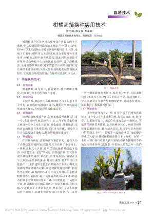 2020-柑橘高接換種實(shí)用技術(shù)_余小麗.pdf