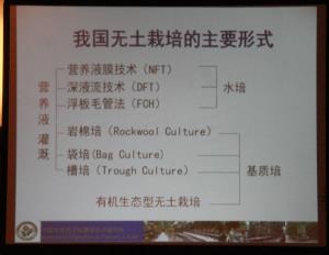 我國(guó)無(wú)土栽培的主要形式.jpg