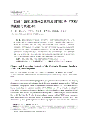 巨峰 葡萄細胞分裂素響應調節(jié)因子VlRR5的克隆與表達分析.pdf