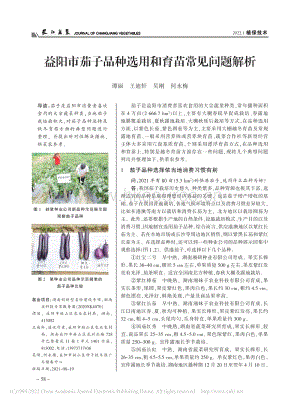 益陽市茄子品種選用和育苗常見問題解析.pdf