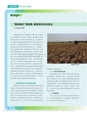 “梨樹模式”新進(jìn)展：蔬菜秸稈還田技術(shù).pdf
