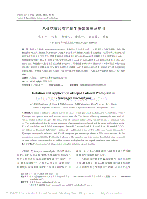 八仙花萼片有色原生質(zhì)體游離及應用.pdf