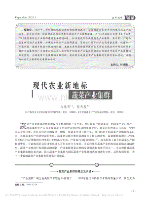 2021-現(xiàn)代農(nóng)業(yè)新地標(biāo) 蔬菜產(chǎn)業(yè)集群_白春明.pdf