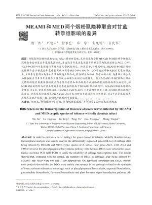 MEAM1和MED兩個煙粉虱隱種取食對甘藍(lán)轉(zhuǎn)錄組影響的差異.pdf