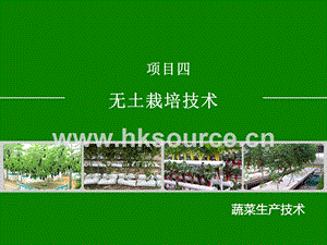 蔬菜生產(chǎn)技術(shù)（北方本）課件 4.2、栽培槽選擇與建造.ppt