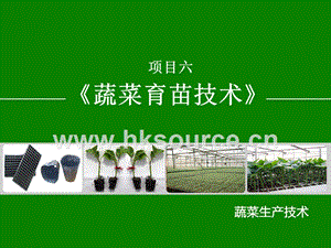 蔬菜生產(chǎn)技術(shù)（北方本）課件 6.1 育苗前準備.ppt