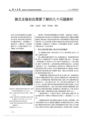黃瓜定植前后需要了解的幾個問題解析_陳維.pdf