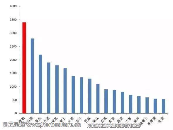 2019年我國(guó)各類蔬菜種植面積（單位：萬(wàn)畝） 圖片來(lái)源：長(zhǎng)江蔬菜.jpg