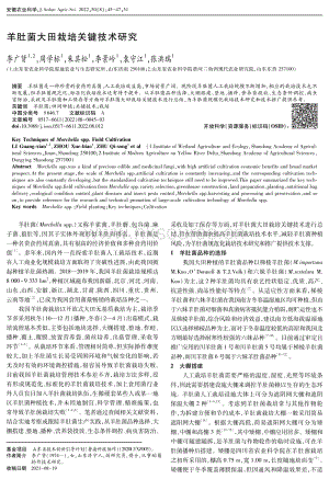 羊肚菌大田栽培關(guān)鍵技術(shù)研究.pdf