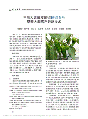 早熟大果薄皮辣椒揚(yáng)椒5號(hào)早春大棚高產(chǎn)栽培技術(shù).pdf