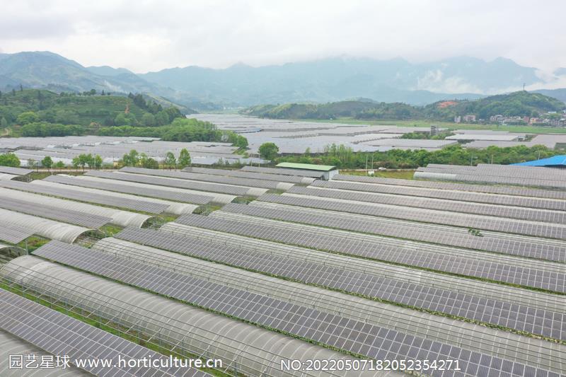 4月13日拍攝的福建省政和縣東平現(xiàn)代農(nóng)業(yè)光伏產(chǎn)業(yè)園一角（無(wú)人機(jī)照片）2.jpg