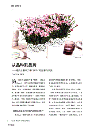 從品種到品牌感受盆栽康乃馨'初吻'的溫馨與浪漫.pdf