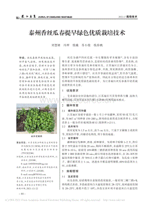 泰州香絲瓜春提早綠色優(yōu)質栽培技術.pdf