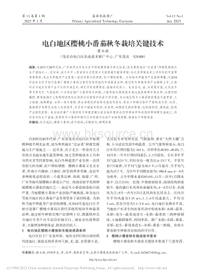 電白地區(qū)櫻桃小番茄秋冬栽培關(guān)鍵技術(shù).pdf