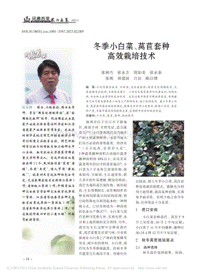 冬季小白菜、萵苣套種高效栽培技術(shù).pdf