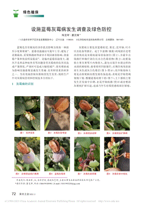 設施藍莓灰霉病發(fā)生調(diào)查及綠色防控.pdf