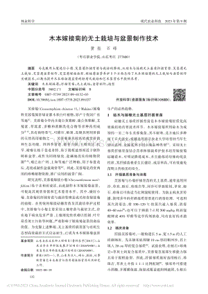 木本嫁接菊的無土栽培與盆景制作技術.pdf