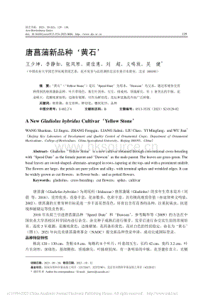 唐菖蒲新品種‘黃石’_王少坤.pdf