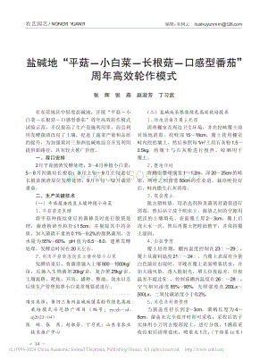 鹽堿地“平菇-小白菜-長(zhǎng)根.感型番茄”周年高效輪作模式.pdf