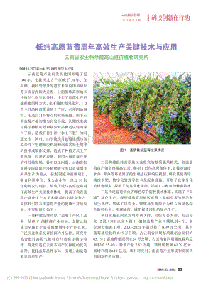 2022-低緯高原藍(lán)莓周年高效生產(chǎn)關(guān)鍵技術(shù)與應(yīng)用.pdf