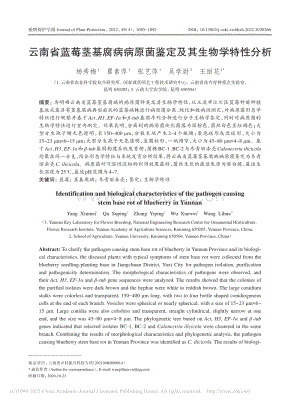 云南省藍莓莖基腐病病原菌鑒定及其生物學(xué)特性分析_楊秀梅.pdf