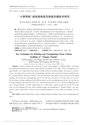 ‘小果甜柿’組培苗煉苗及移栽關(guān)鍵技術(shù)研究.pdf