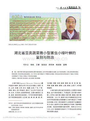 湖北省豆類蔬菜微小型害蟲(chóng)小綠葉蟬的鑒別與防治.pdf