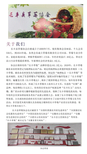 長(zhǎng)豐縣草莓協(xié)會(huì)簡(jiǎn)介.docx