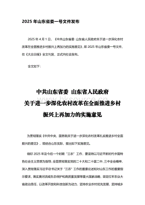 2025年山東省委一號(hào)文件發(fā)布.pdf