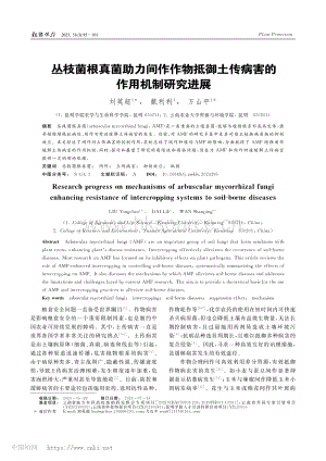 叢枝菌根真菌助力間作作物抵御土傳病害的作用機制研究進展.pdf
