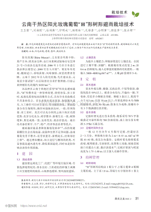 云南干熱區(qū)陽(yáng)光玫瑰葡萄“H”形樹形避雨栽培技術(shù).pdf