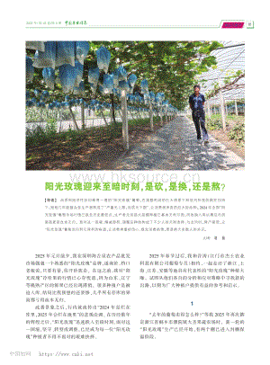 陽光玫瑰迎來至暗時(shí)刻是砍是換還是熬？_清揚(yáng).pdf