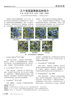 幾個美國藍(lán)莓新品種簡介_王婷.pdf