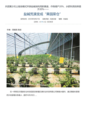 鹽堿荒漠變成“果園菜倉”.pdf