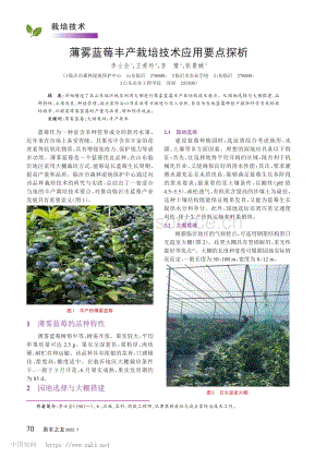 薄霧藍莓豐產(chǎn)栽培技術(shù)應(yīng)用要點探析_李士會.pdf