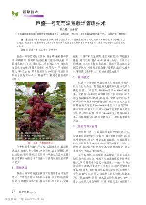 巨盛一號(hào)葡萄溫室栽培管理技術(shù)_郭立霞.pdf