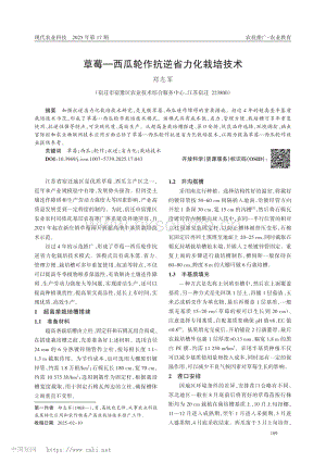 草莓—西瓜輪作抗逆省力化栽培技術(shù)_鄭志軍.pdf