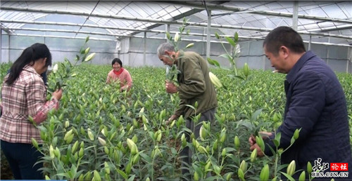 點(diǎn)擊查看高清原圖