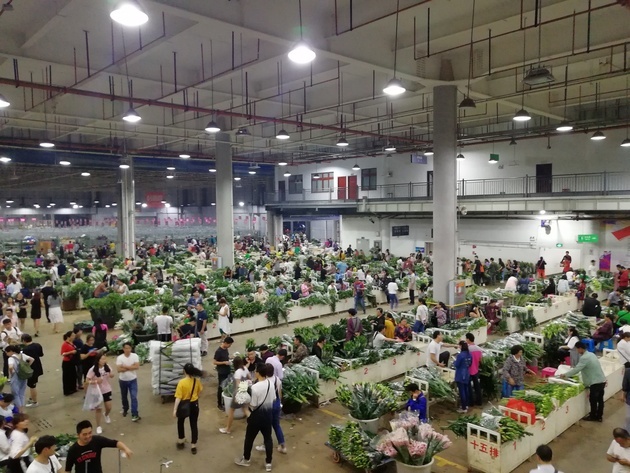 昆明斗南花卉市場(chǎng)夜間批發(fā)現(xiàn)場(chǎng) 圖片來(lái)源:每日經(jīng)濟(jì)新聞.jpg