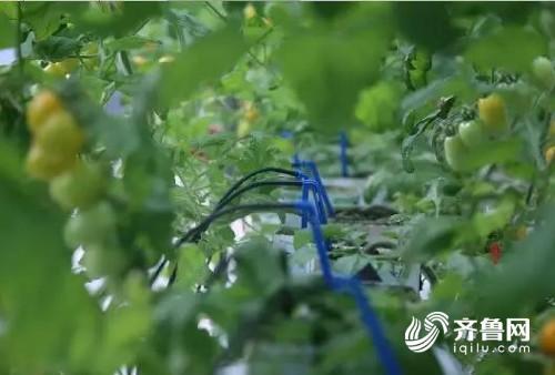 微信圖片_20190331173818_conew1.jpg